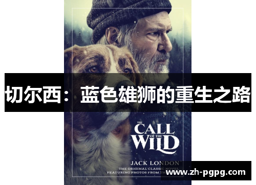 切尔西:蓝色雄狮的重生之路 切尔西:蓝色雄狮的重生之路