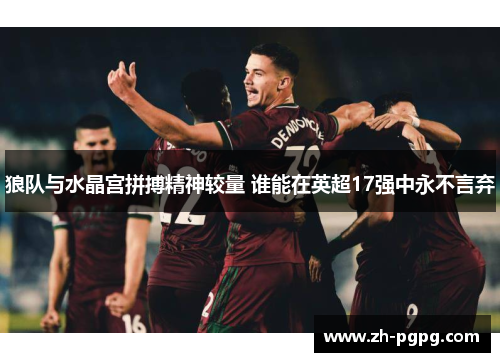 狼队与水晶宫拼搏精神较量 谁能在英超17强中永不言弃